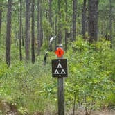 Review photo of Carolina Beach State Park Campground by Kirsten J., July 14, 2019