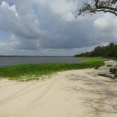 Review photo of Carolina Beach State Park Campground by Kirsten J., July 14, 2019