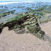 Review photo of Jalama Beach County Park by Michael K., June 5, 2016