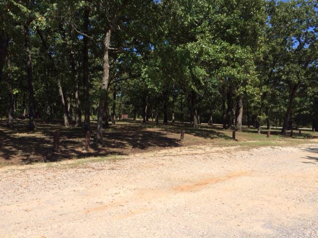 Camper submitted image from Coffee Mill Lake Recreation Area - 4
