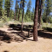 Review photo of Nevada Beach Campground and Day Use Pavilion by Meri S., July 14, 2019