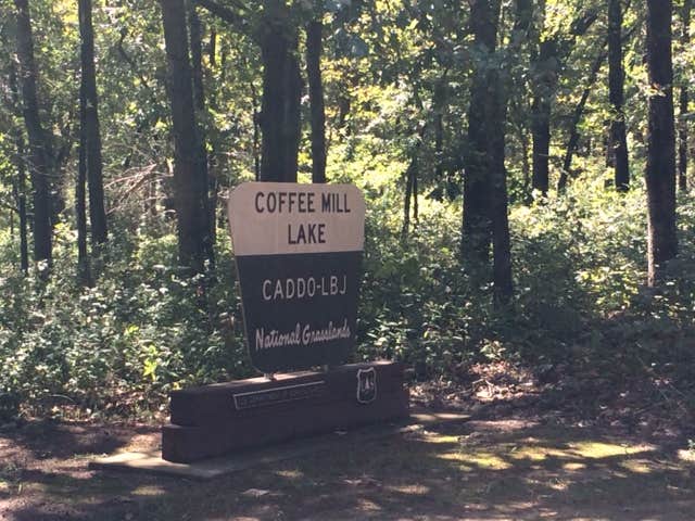 Camper submitted image from Coffee Mill Lake Recreation Area - 2