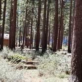 Review photo of Nevada Beach Campground and Day Use Pavilion by Meri S., July 14, 2019