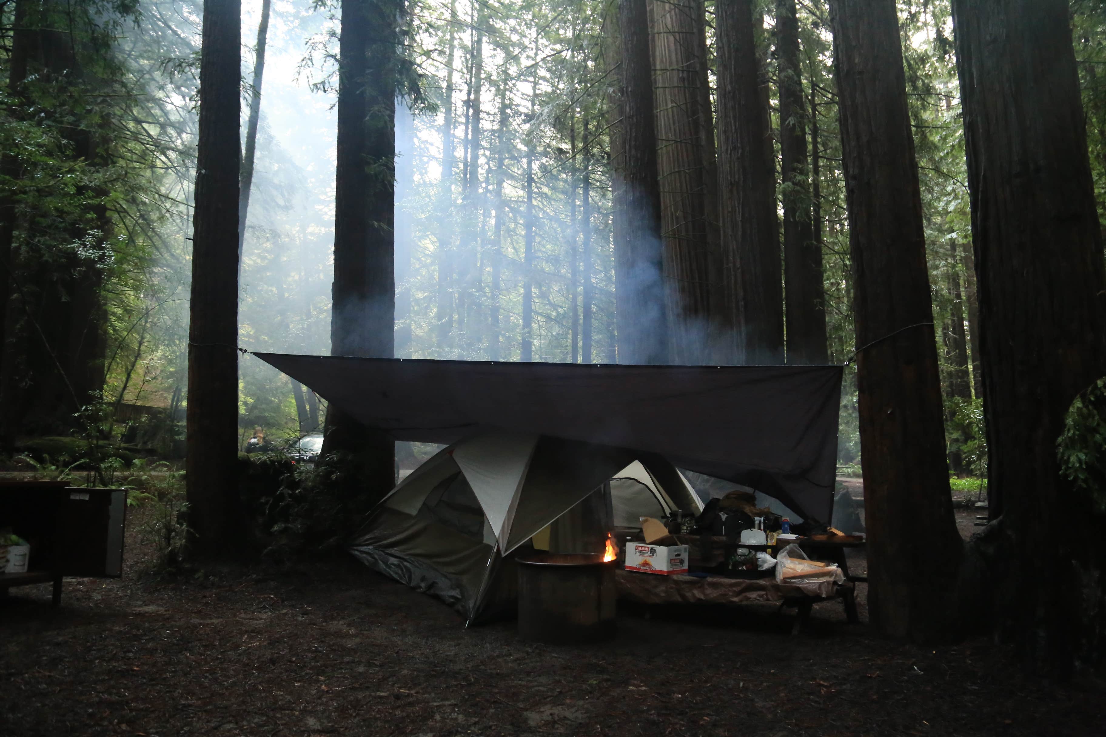 Camper-submitted photo at Hendy Woods State Park Campground near Gualala, CA