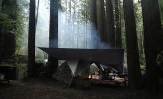 Dani P.'s photo at Hendy Woods State Park Campground near Point Arena, CA