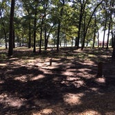 Review photo of Coffee Mill Lake Recreation Area by Micah W., September 19, 2016