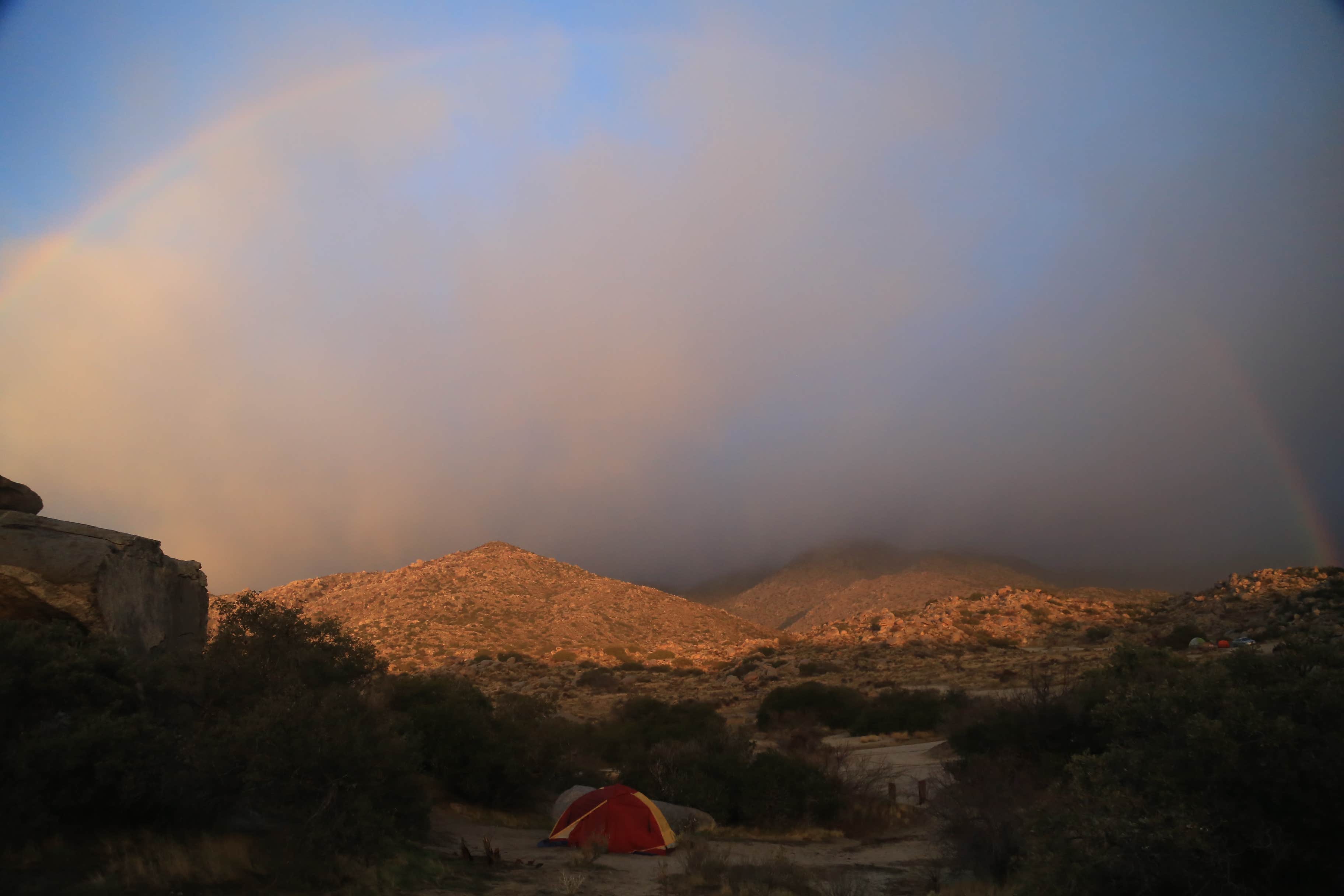 Dani P.'s photo at Culp Valley Primitive Campground — Anza-Borrego Desert State Park near Warner Springs, CA