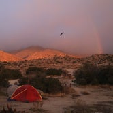 Review photo of Culp Valley Primitive Campground — Anza-Borrego Desert State Park by Dani P., July 14, 2019
