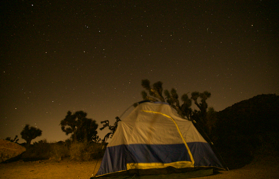 Dani P.'s photo at Black Rock Campground — Joshua Tree National Park near Morongo Valley, CA