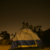 Review photo of Black Rock Equestrian Campground - Joshua Tree by Dani P., July 14, 2019