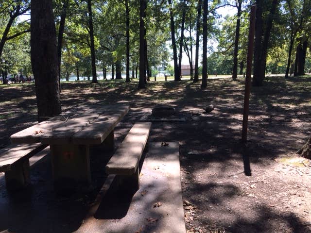 Camper submitted image from Coffee Mill Lake Recreation Area - 4