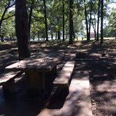 Review photo of Coffee Mill Lake Recreation Area by Micah W., September 19, 2016