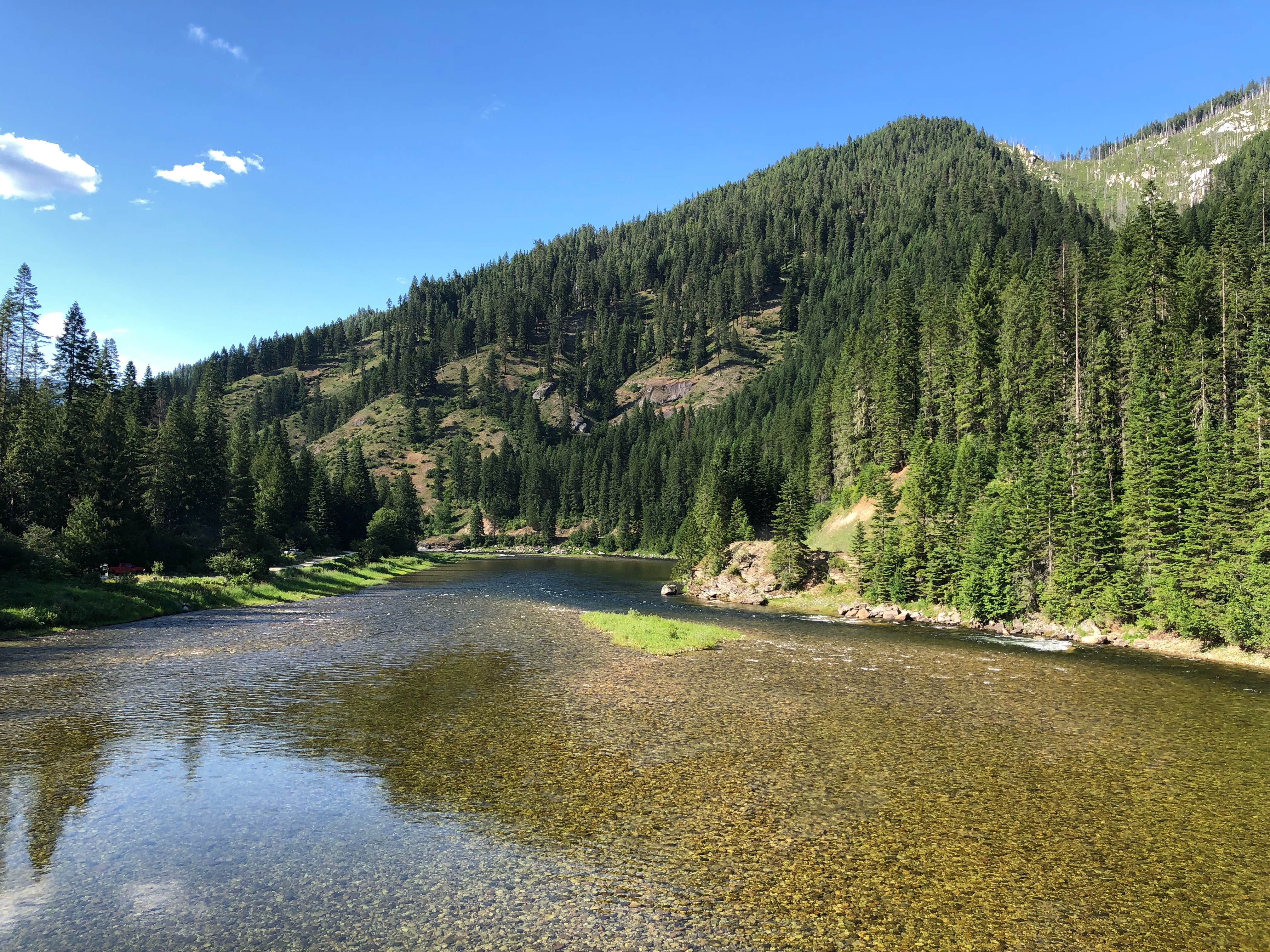 Camper submitted image from Washington Creek Campground - 4