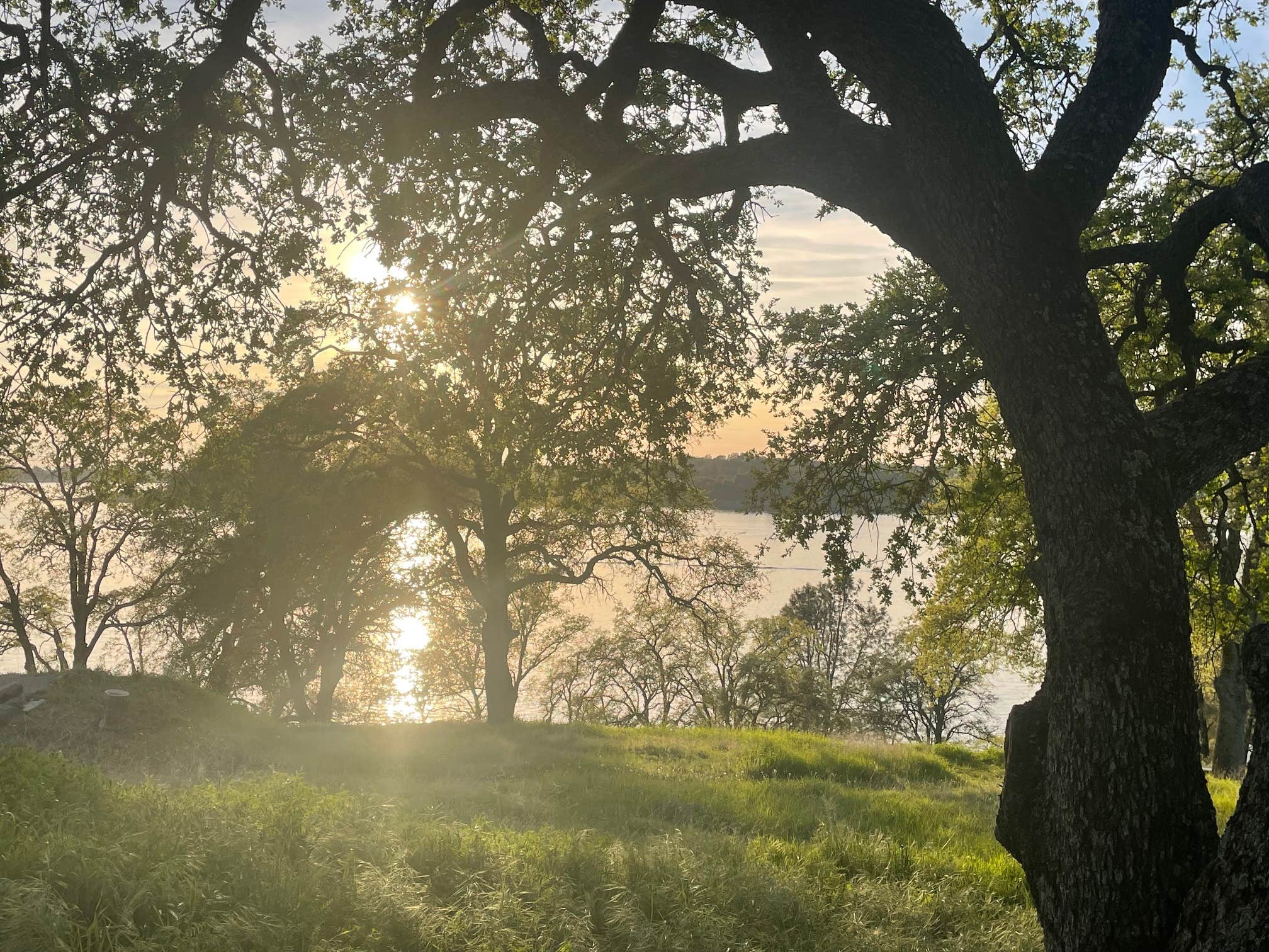 Peninsula Campground — Folsom Lake State Recreation Area