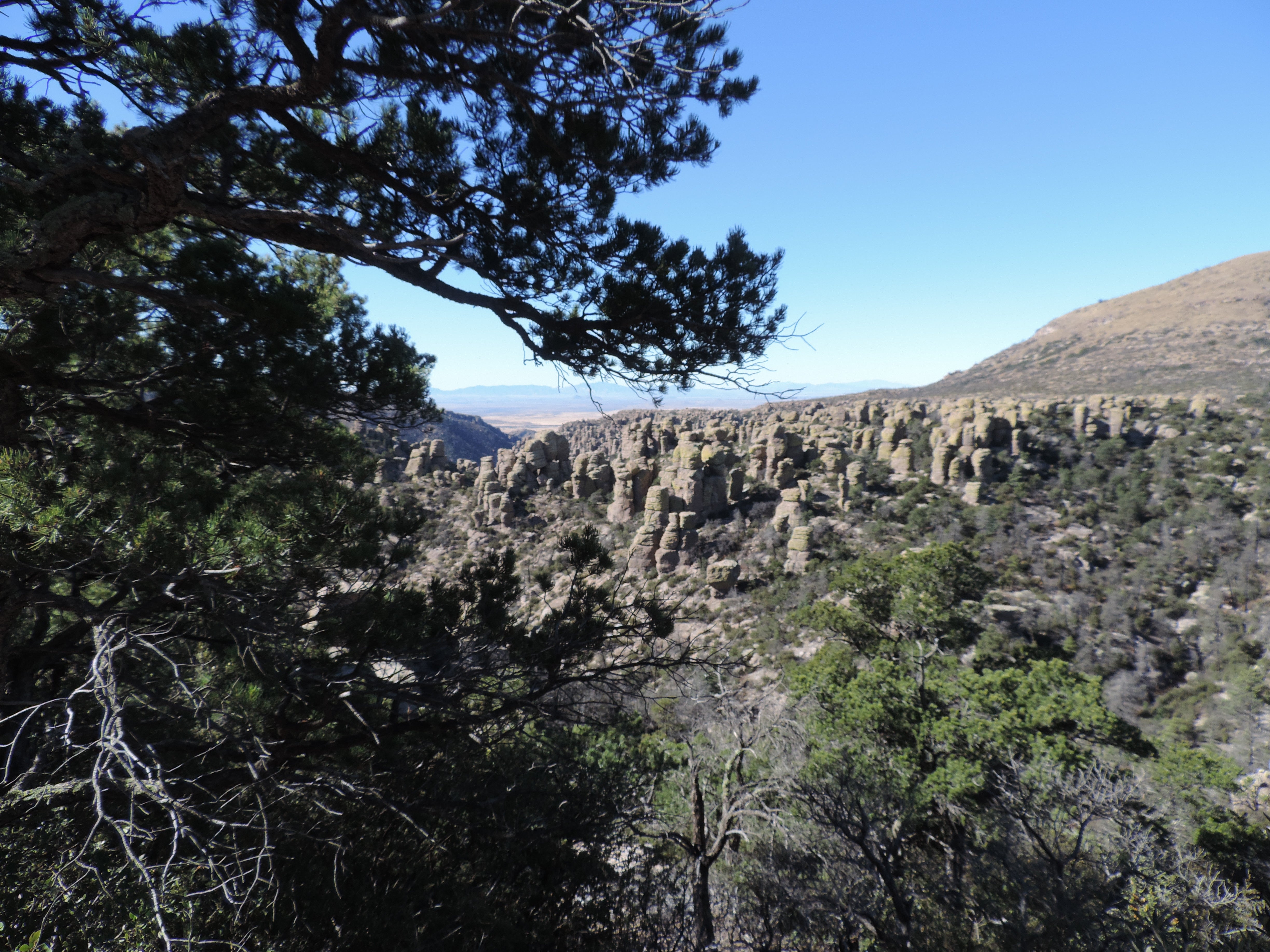 Camper submitted image from Bonita Canyon Campground — Chiricahua National Monument - 2