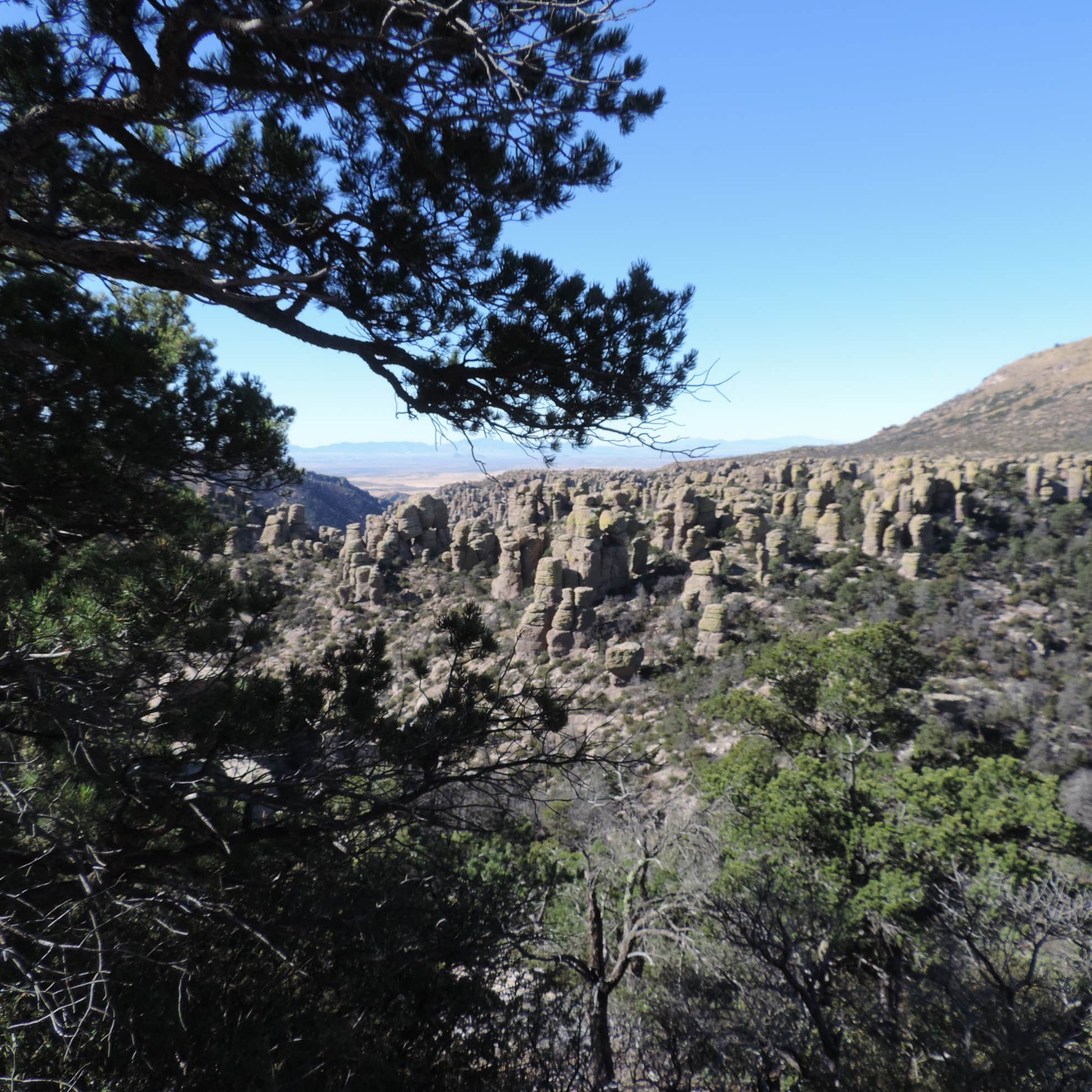 Bonita Canyon Campground Camping The Dyrt
