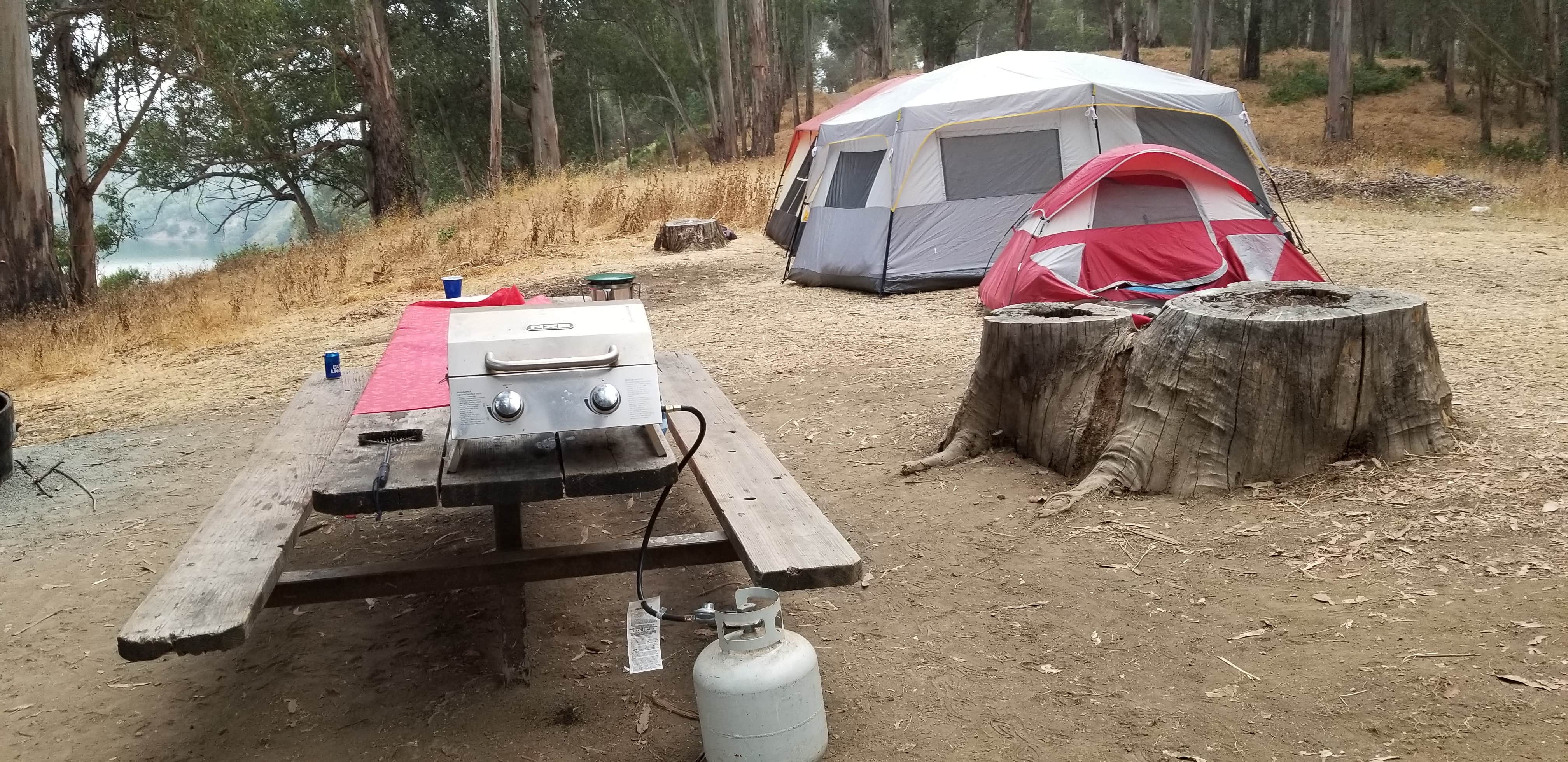 Stacie L.'s photo at Anthony Chabot Regional Park near Millbrae, CA