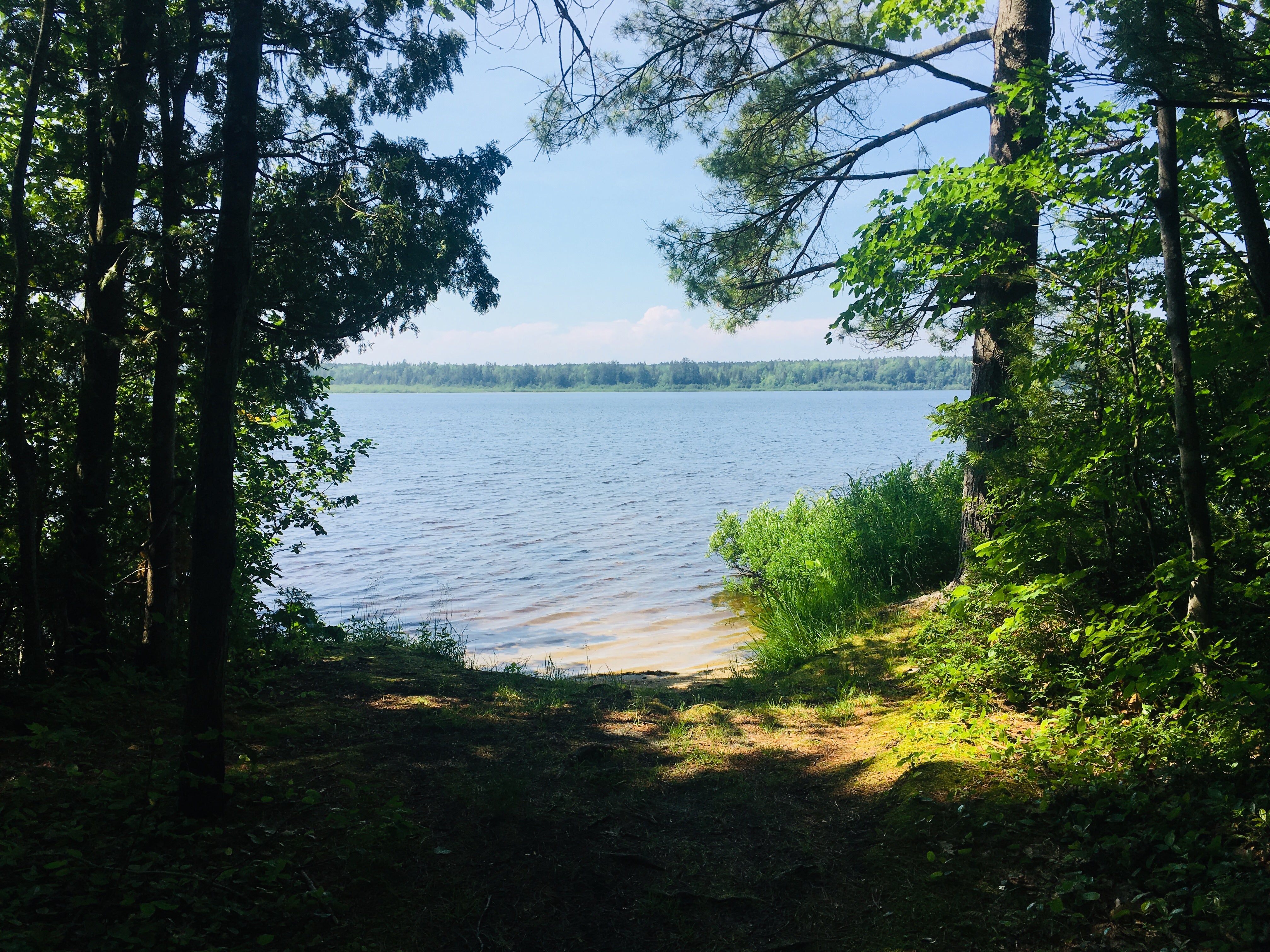 Camper submitted image from Brevoort Lake Campground - 3