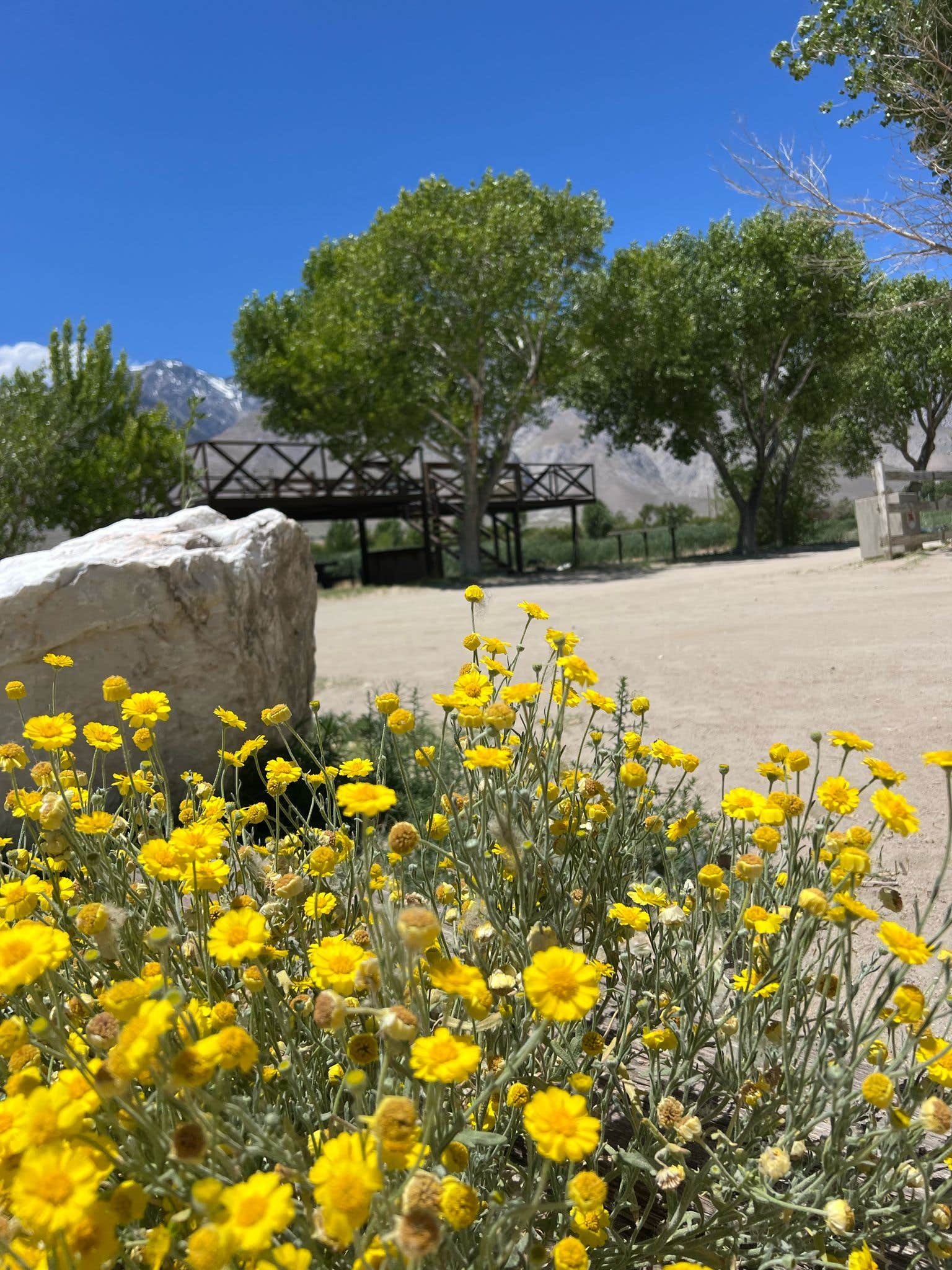 Camper-submitted photo at Lake Olancha RV Park & Campground / Westside of Death Valley near Sequoia & Kings Canyon National Parks