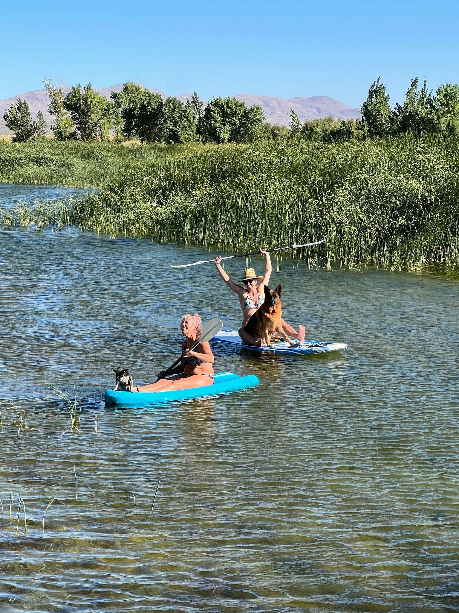 Lake O.'s photo of camping with pets at Lake Olancha RV Park & Campground / Westside of Death Valley near Death Valley National Park