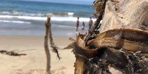 Camper submitted image from Sun Outdoors Santa Barbara