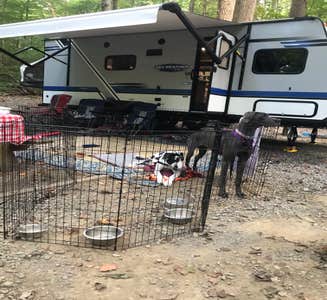 Camper-submitted photo from Davy Crockett Birthplace State Park Campground