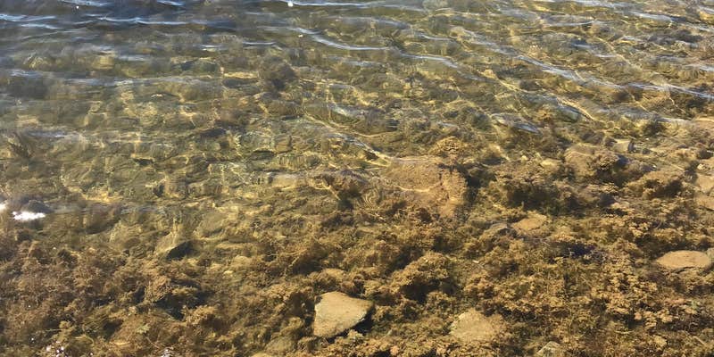 Camper submitted image from COE New Hogan Lake Coyote Point Campground