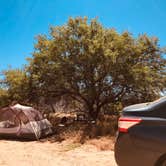 Review photo of Blair Valley Primitive Campground — Anza-Borrego Desert State Park by Chris O., July 14, 2019