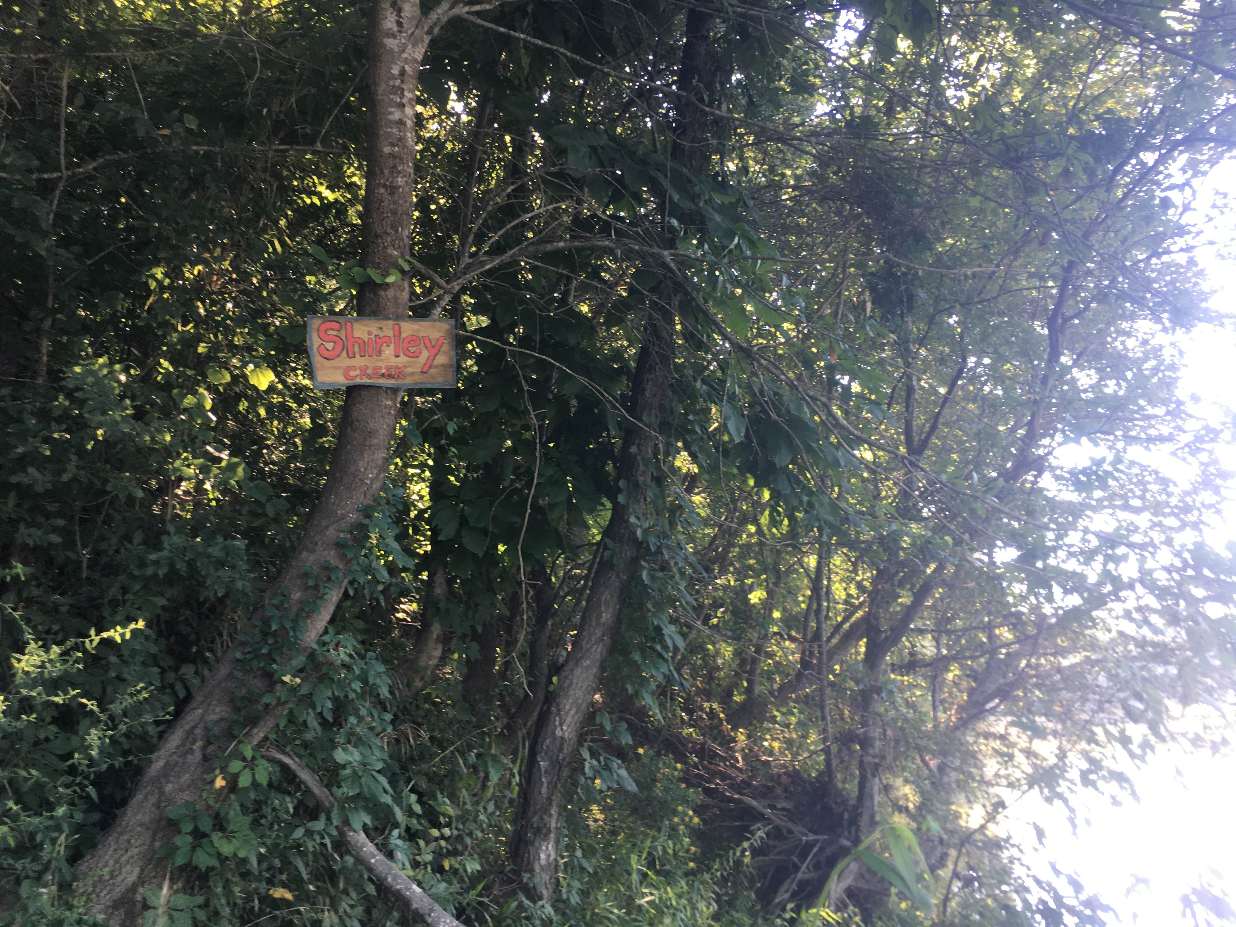 Camper submitted image from Shirley Creek - 2