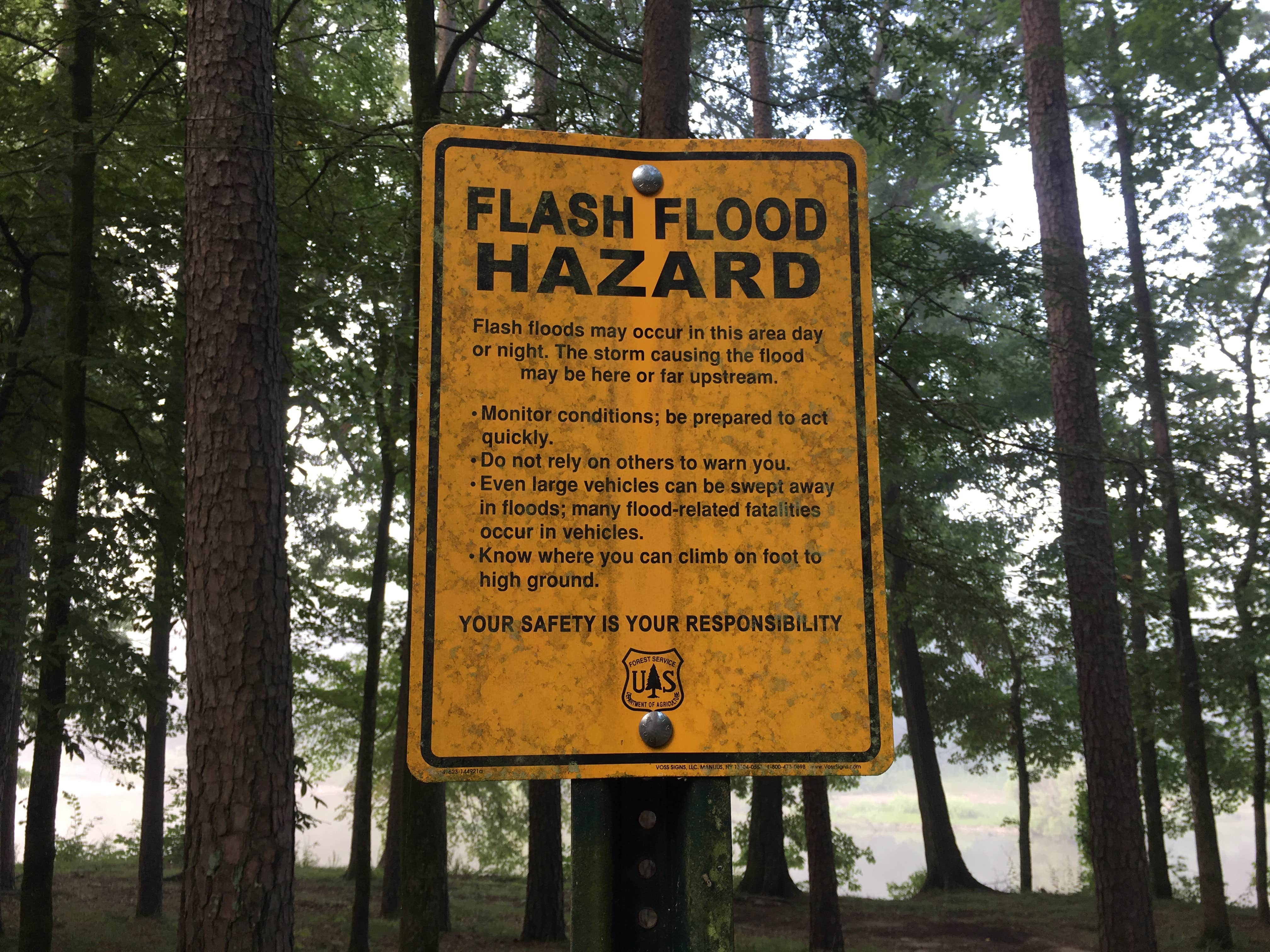 Camper-submitted photo at Shirley Creek near Oden, AR