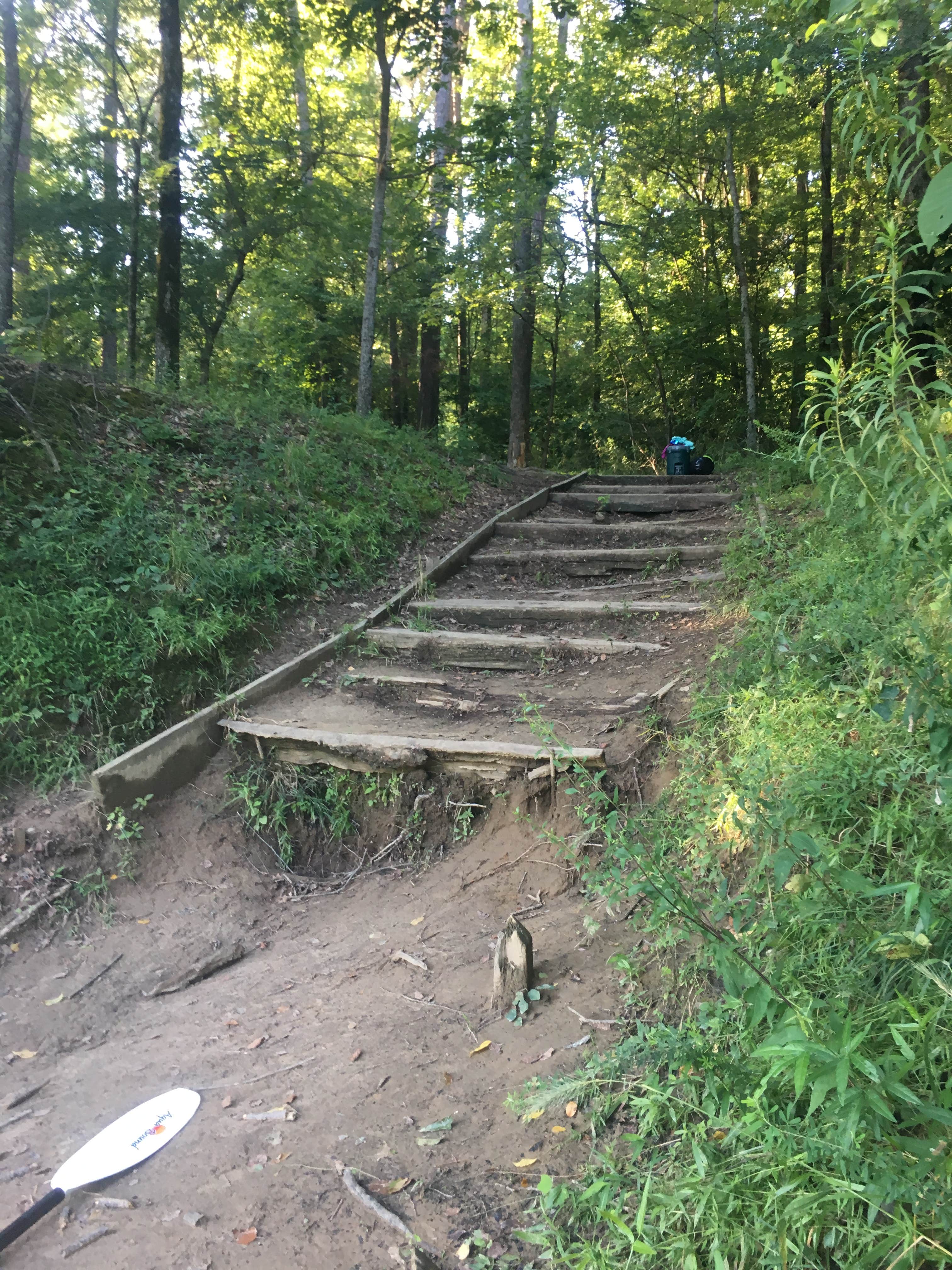 Camper-submitted photo at Shirley Creek near Oden, AR