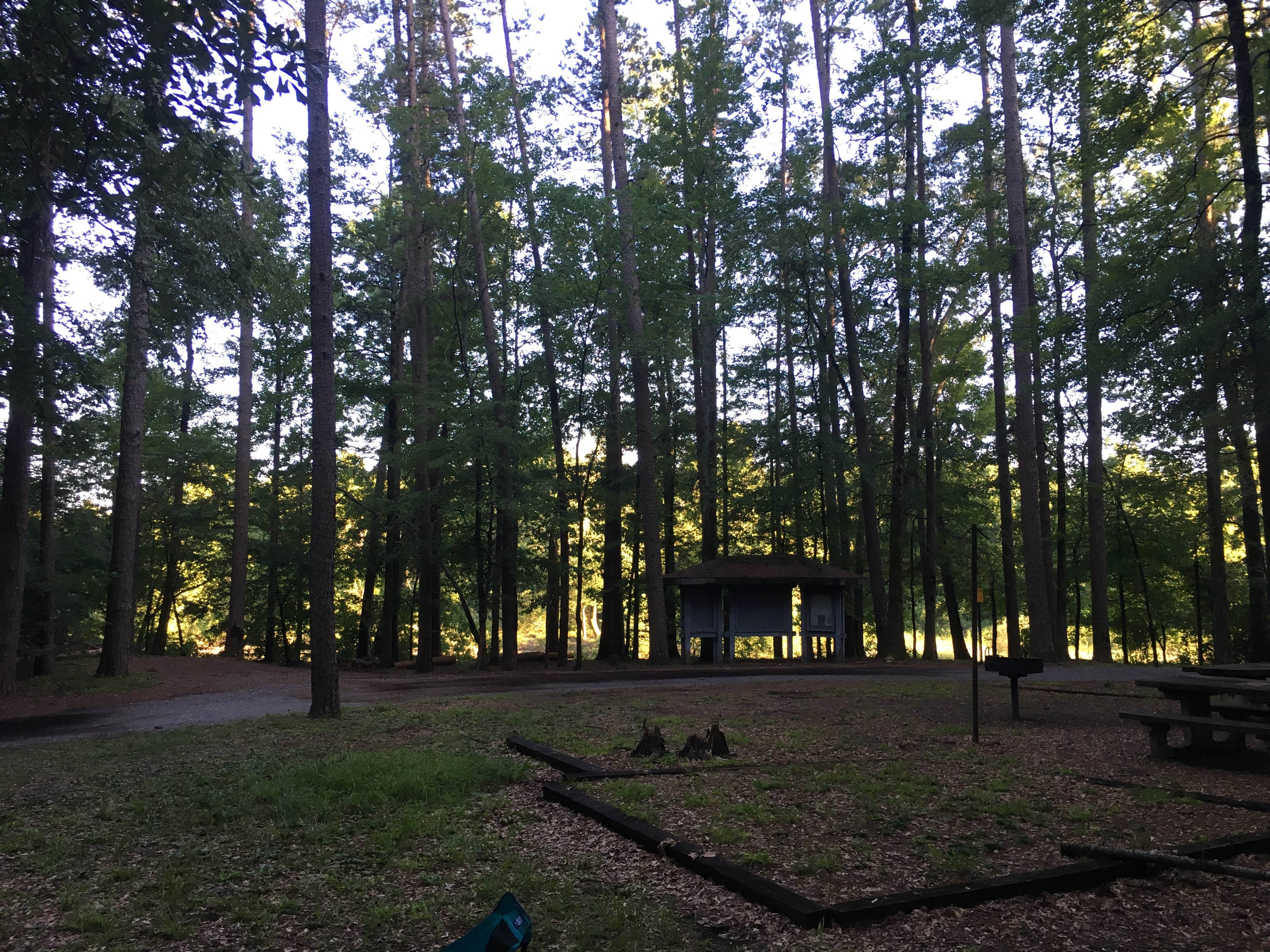 Camper-submitted photo at Shirley Creek near Oden, AR