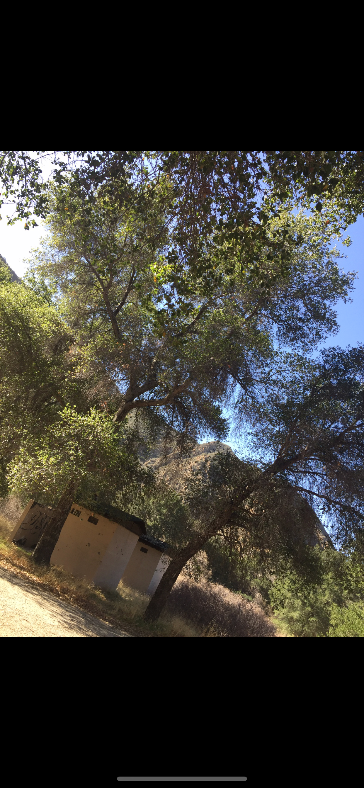 Camper submitted image from Cienaga Campground - Closed - 2
