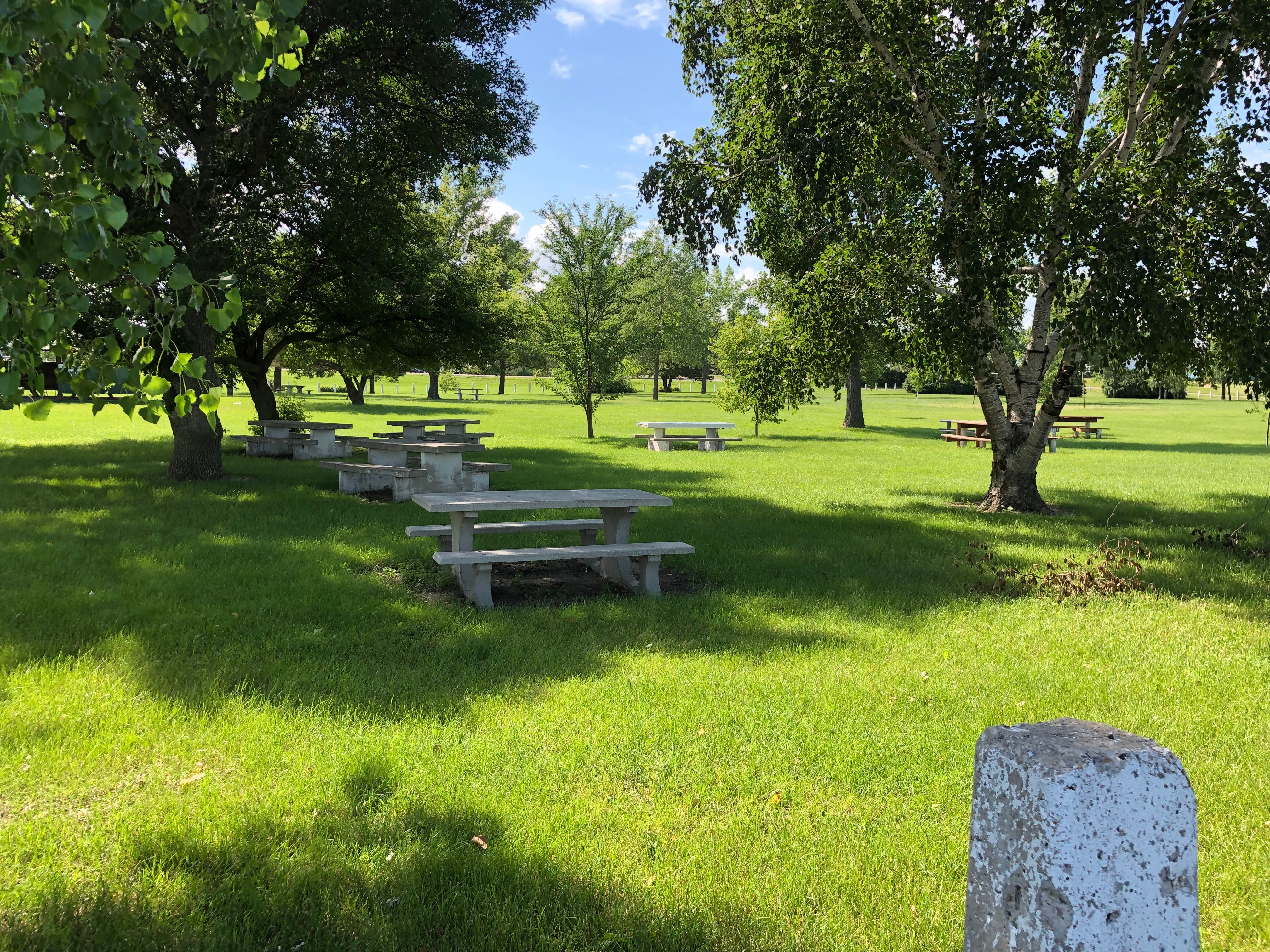 Large park with plenty of picnic room
