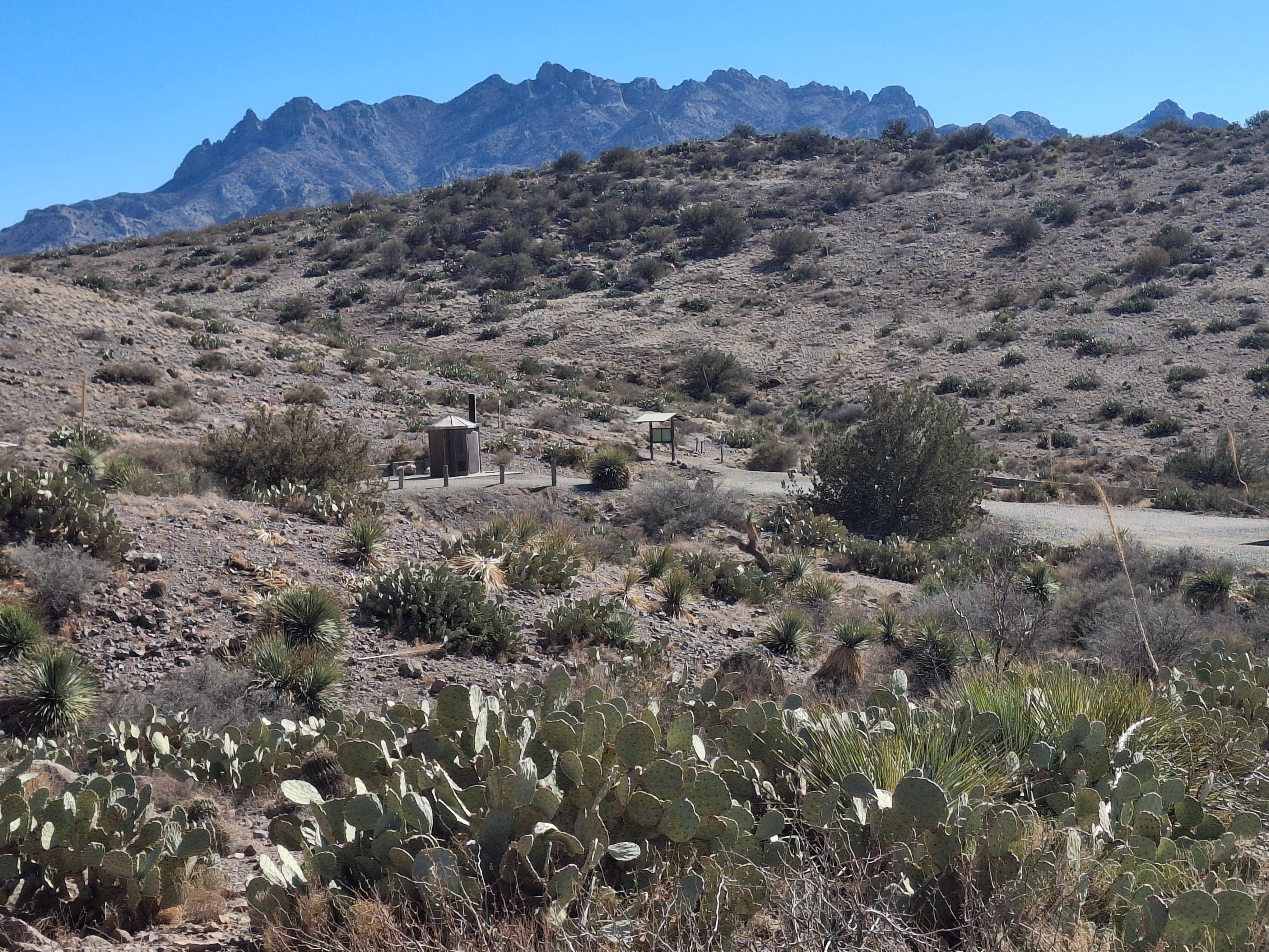 Camper-submitted photo at Rockhound State Park Campground near Faywood, NM