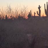 Review photo of Usery Mountain Regional Park by Mark M., March 27, 2025