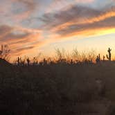 Review photo of Usery Mountain Regional Park by Mark M., March 27, 2025