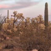 Review photo of Usery Mountain Regional Park by Mark M., March 27, 2025