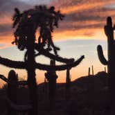 Review photo of Usery Mountain Regional Park by Mark M., March 27, 2025