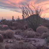 Review photo of Usery Mountain Regional Park by Mark M., March 27, 2025
