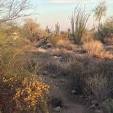 Review photo of Usery Mountain Regional Park by Mark M., March 27, 2025