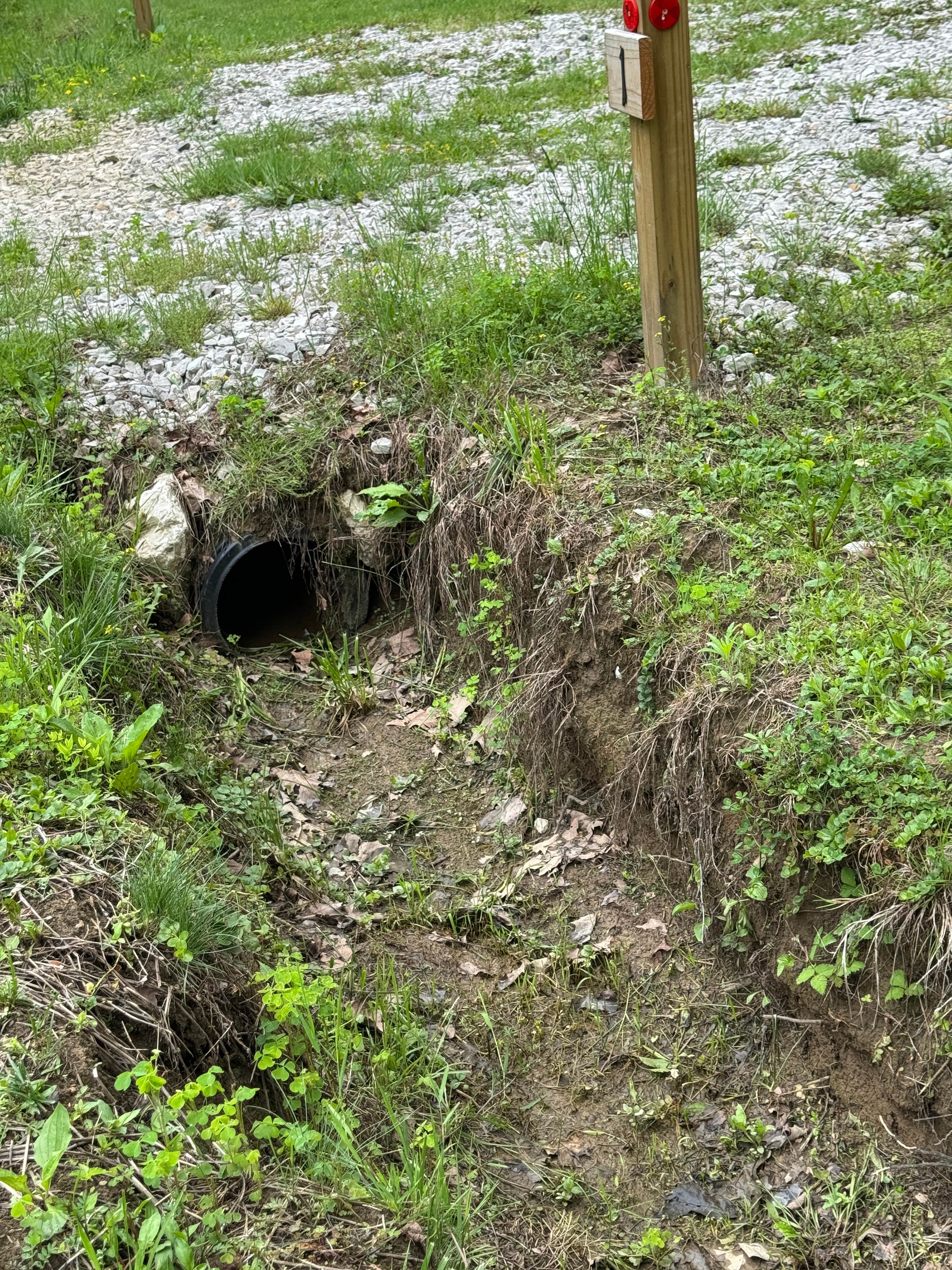 Camper-submitted photo at Red River Adventure near Beattyville, KY