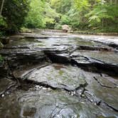 Review photo of Mash Fork Campground — Camp Creek State Park by Fred R., July 14, 2019