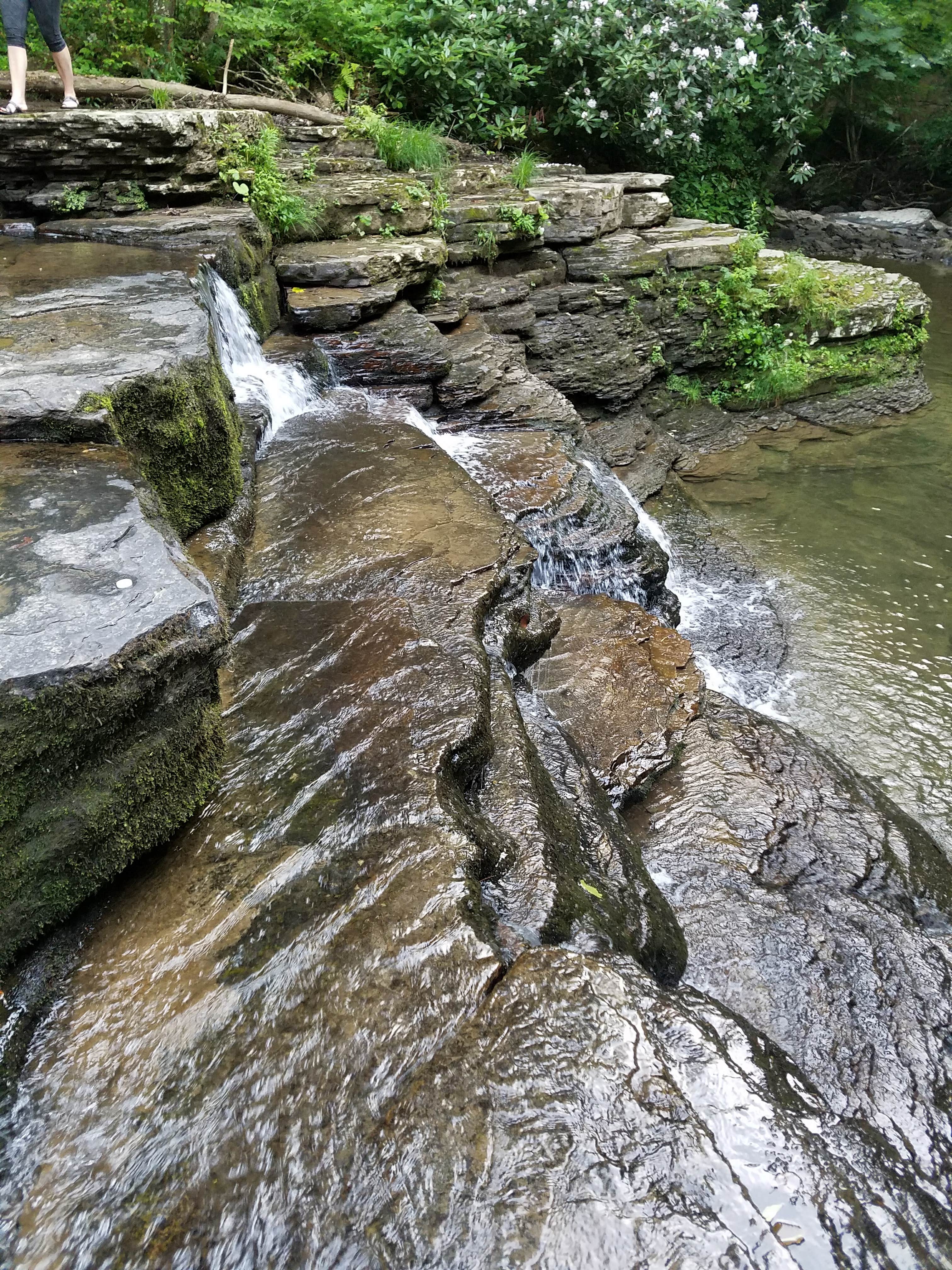 Camper-submitted photo at Mash Fork Campground — Camp Creek State Park near Herndon, WV