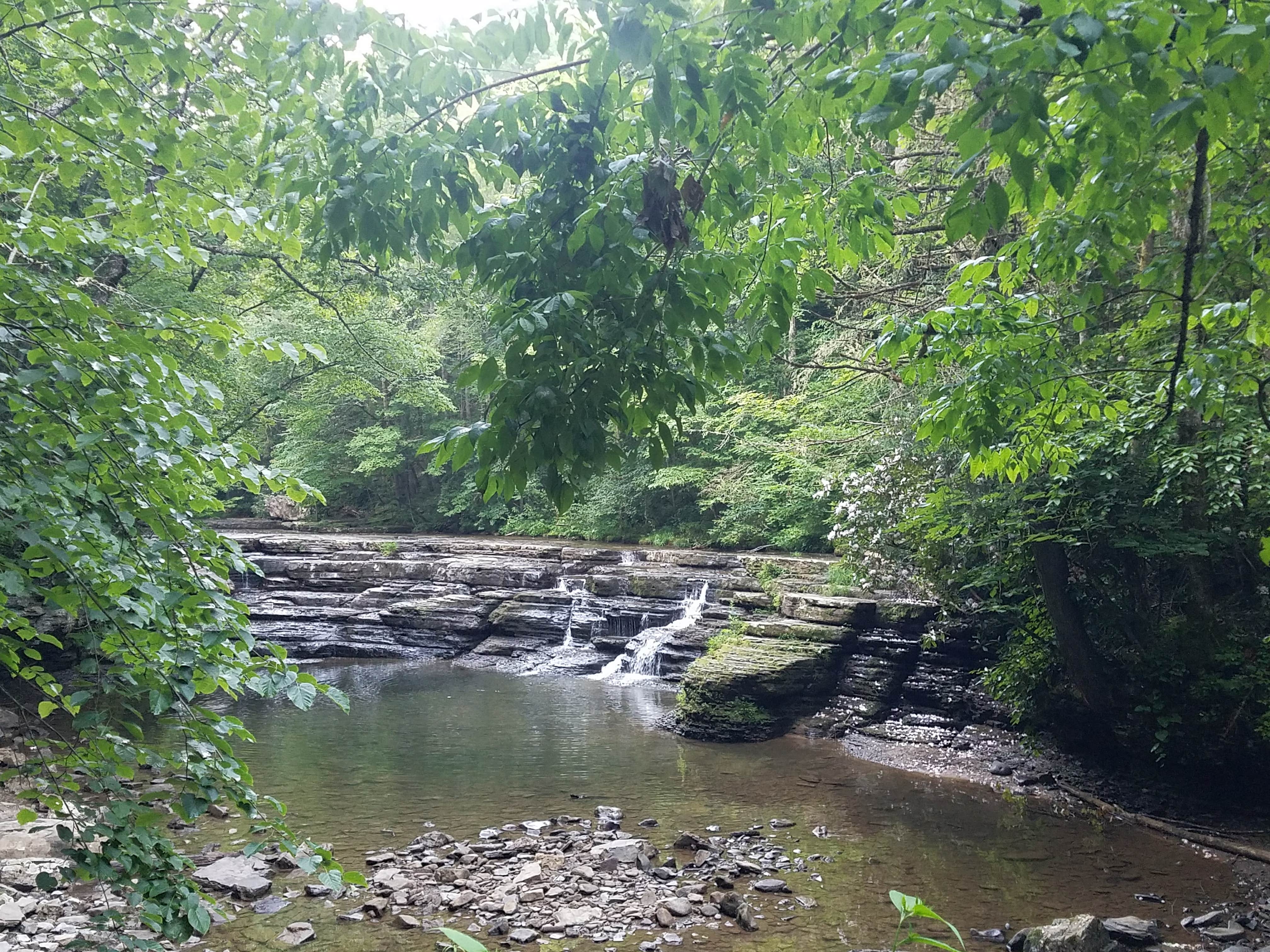 Camper-submitted photo at Mash Fork Campground — Camp Creek State Park near Herndon, WV