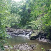 Review photo of Mash Fork Campground — Camp Creek State Park by Fred R., July 14, 2019