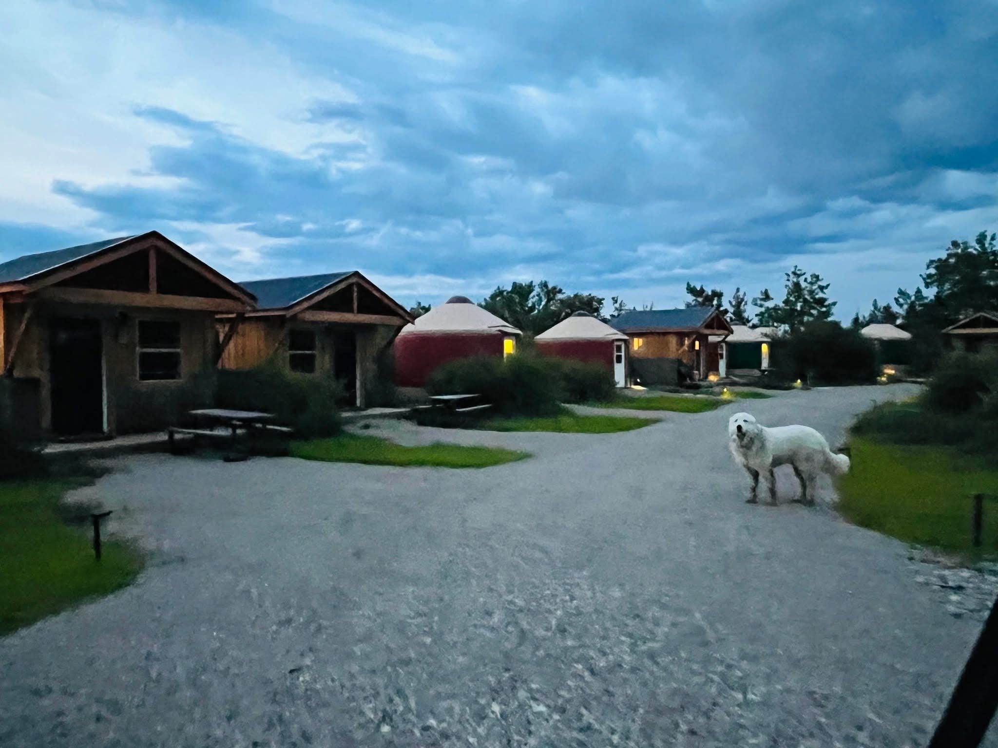 Camper-submitted photo at Kiowa Frontier Yurts and Cabins near Cut Bank, MT