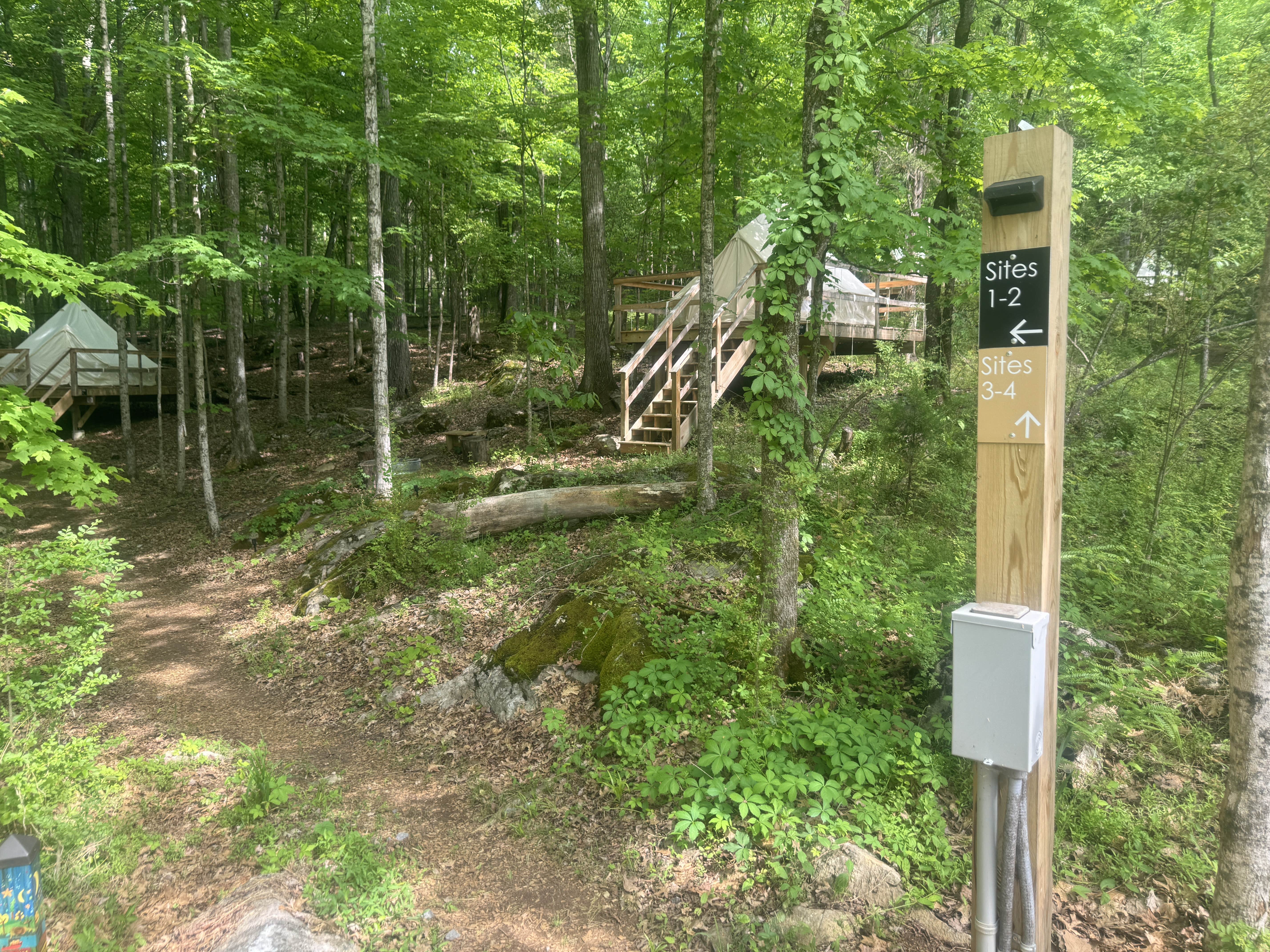 Camper submitted image from Lakefront Glamping Resort Cherokee Lake Tennessee - 3