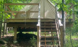 Lee D.'s photo at Lakefront Glamping Resort Cherokee Lake Tennessee near Eidson, TN