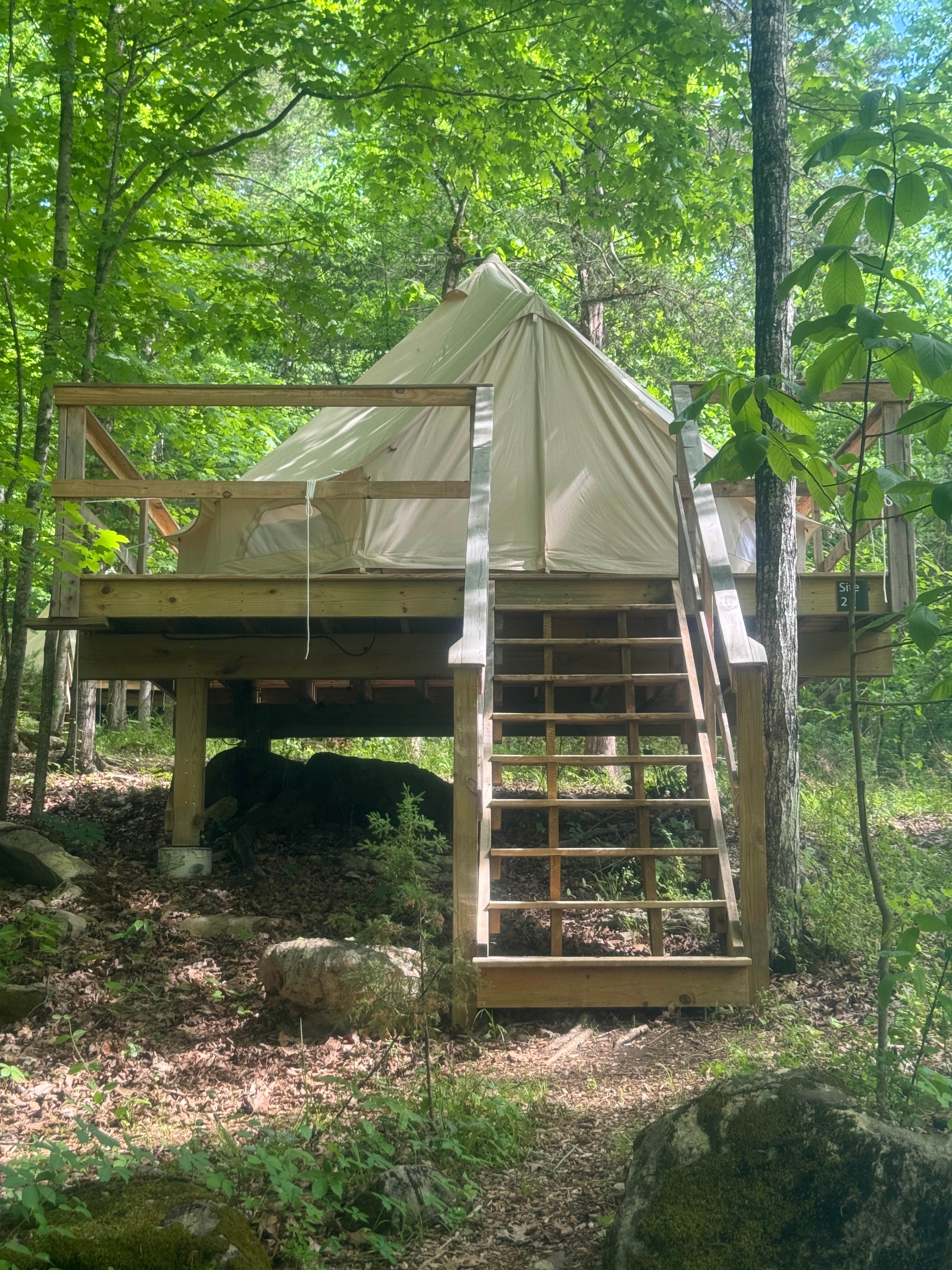Lee D.'s photo at Lakefront Glamping Resort Cherokee Lake Tennessee near Bulls Gap, TN